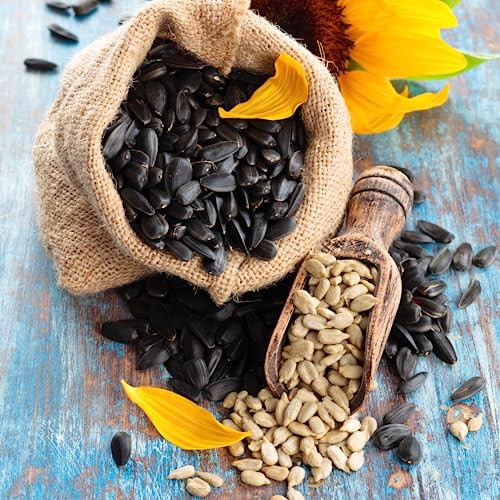 We Got Nuts Sunflower Seeds Roasted and Unsalted (No Shell 4 Lb