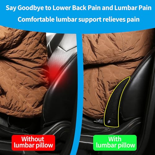 Raygis Lumbar Support PillowMemory Foam Back Cushion For Office ChairCar SeatTravelErgonomic Posture 2 Pack