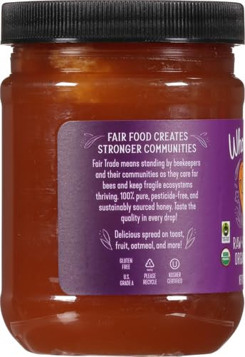 Wholesome Sweeteners 16Ounce Organic Raw Unfiltered Honey Jar 100% Pure Fair Trade 1 Pack