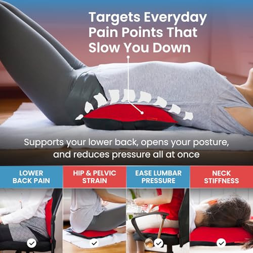 Ajuvia Back Vitalizer Lumbar Support Pillow