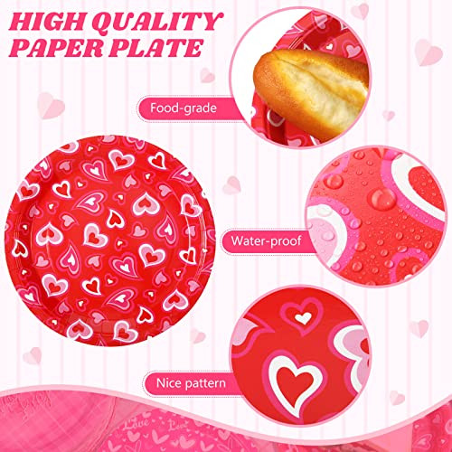 Zopeal Valentine's Day Paper Plates Bulk Pink Red Heart Disposable Plates Round 9 Inch 60 Pcs