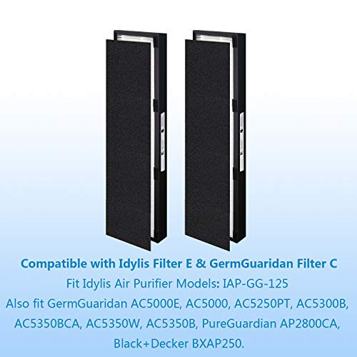 Wocase True Hepa E Size FilterCompatible With Idylis FilGg125 and IapGg125Ac5250Pt