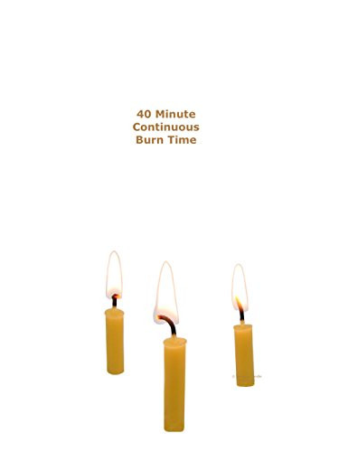 Beeswax Candle Works Inc 5Inch Birthday Candles (Pack Of 24) 100% Usa Beeswax Pack Of 24