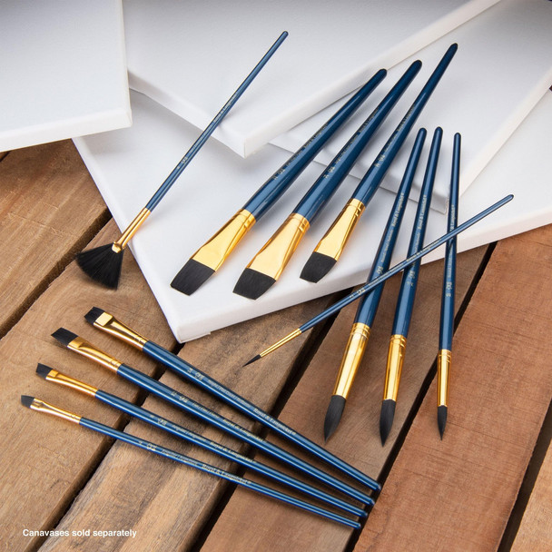 Royal and Langnickel 9300 Series 10760Zip N Close 12Piece Black Taklon Brush Set 1 Rset9301