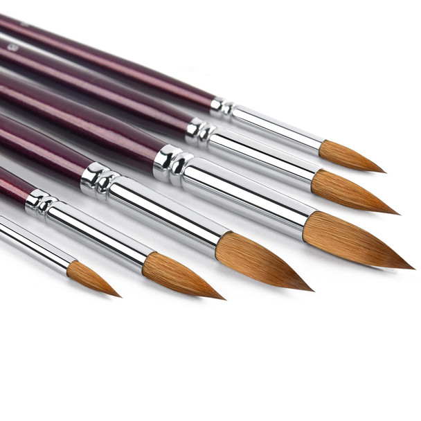 Hilsoeet Kolinsky Watercolor Brush Set Pure Kolinsky Sable Hair Pointed Round Art Paintbrushes Premium 6 Pcs Round Tip Paint Brush Artist Acrylic Brush For Watercolor Art Painting Gouache Face Painting