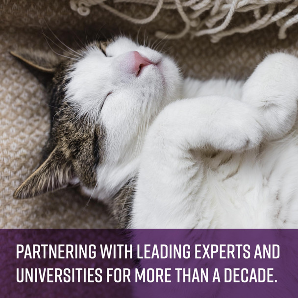 Sentry Calming Chews For Cats Calming Aid Helps To Manage Stress With Pheromones That May Help Curb Destructive Behavior Calming Health Supplement For Cats 4 Oz