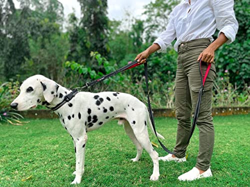 Tuff Pupper Avail Dog Leash And 1923 Bungee Collar With Handle Heavy Duty Black