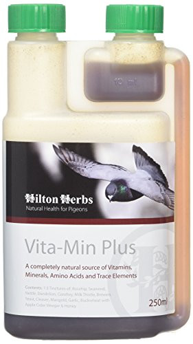 Hilton Herbs 27082 VitaMin Plus Bird Food Formula 05 Pint