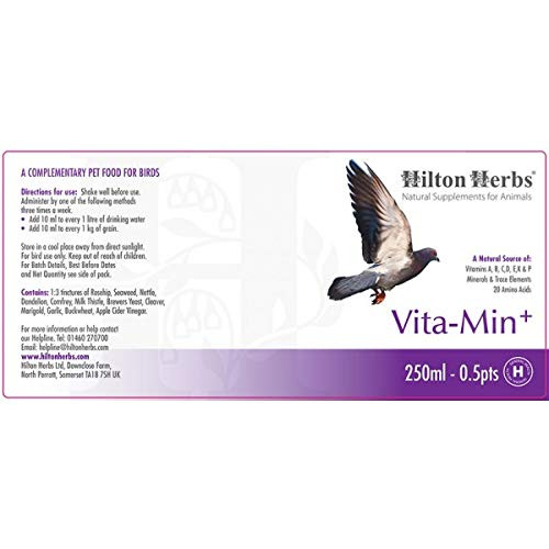Hilton Herbs 27082 VitaMin Plus Bird Food Formula 05 Pint