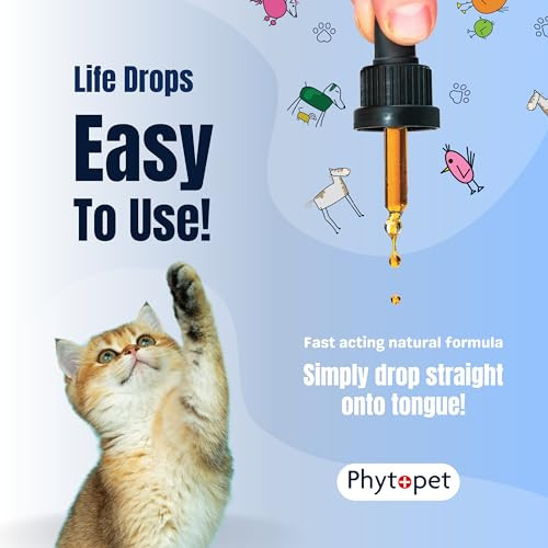 Phytopet Life Drops Natural Herbal Stimulant For Newborn and Elderly Pets Ideal For Puppies Kittens Birds Foals 10Ml