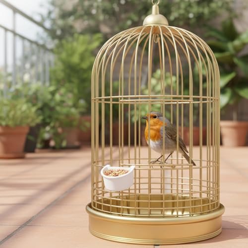 Qfwdfctrenz 6 Pcs Plastic Bird Food Feeder Bird Cage Feeder Hanging Feeding Bowl Seed Container White Food Dishes Bowl Birds Cage Accessories For Small Parakeet Pigeons Conures