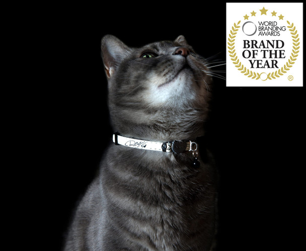 Rogz Glow In The Dark Reflective Cat Collar With Breakaway Clip And Removable Bell Fully Adjustable To Fit Most Breeds Jumping Black Cat Design