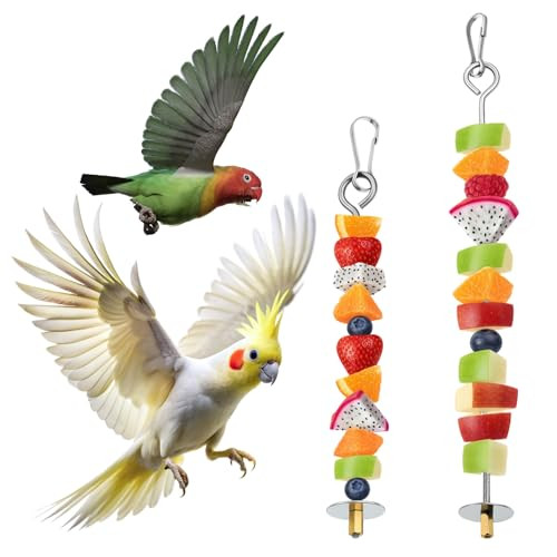 Qfwdfctrenz 2Pcs Bird Cage Food Holder With Hook Parrot Fruit Vegetable Skewer Stainless Steel Bird Feeder For Cages Hanging Foraging Toy Birds Cage Feeder Foraging Toy For Macaw Parakeet Parrot Budgie