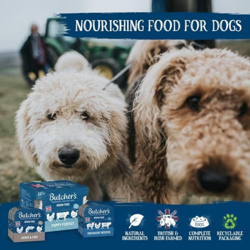ButcherS Mapoor ButcherS Succulent Recipes Dog Food Trays 1800 G