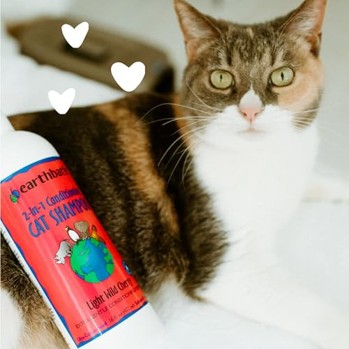 Earthbath Wild Cherry 2In1 Cat Conditioning Shampoo Cruelty Cat Shampoo And Conditioner Made In Usa Gentle Safe Pet Wash For Kittens 16 Oz 1 Pack