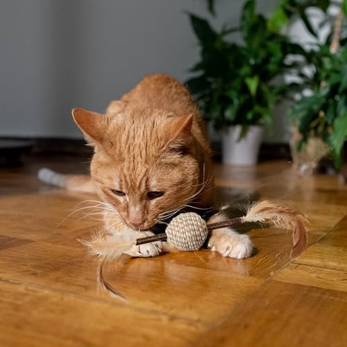 Spot Naturals Silver Vine Cat Toy Natural Interactive Enrichment For Cats Stimulates Play And Reduces Stress Durable And Safe Perfect For Indoor Cats And Kittens Assorted Styles 1 Piece