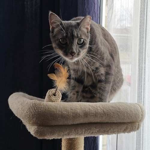 Spot Naturals Silver Vine Cat Toy Natural Interactive Enrichment For Cats Stimulates Play And Reduces Stress Durable And Safe Perfect For Indoor Cats And Kittens Assorted Styles 1 Piece