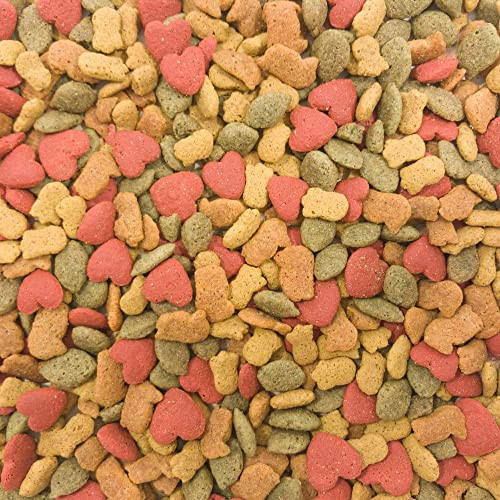 Higgins 466253 Higgins Intune Parrot 3 Lbs
