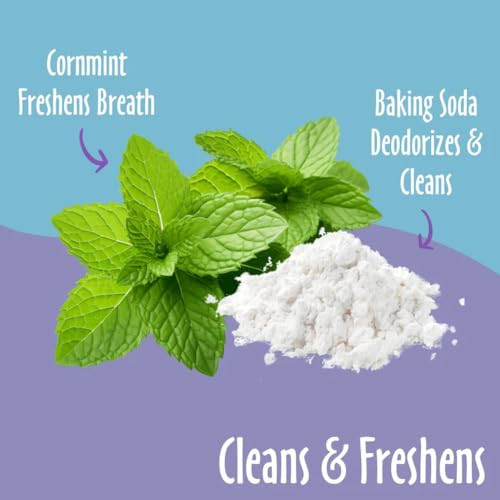 Earthbath Tooth and Gum Wipes Mint Dog Teeth Cleaning Wipes No Brush Pet Dental Finger Swab For Dog And Cat Teeth Cleaning Made In Usa Baking Soda and Cornmint 50 Count