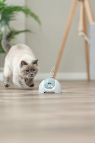 Trixie 4567 Catch Me With Motor/Remote Control