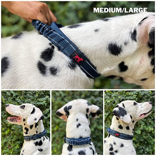 Tuff Pupper Avail Dog Leash And 1418 Heavy Duty Dog Collar With Handle Blue