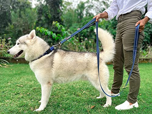 Tuff Pupper Avail Dog Leash And 1418 Heavy Duty Dog Collar With Handle Blue