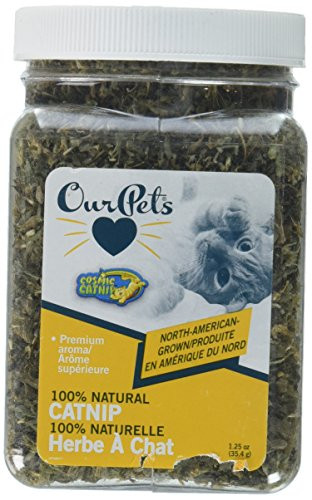 Our Pets Cosmic Catnip Jar