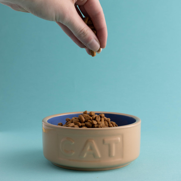 Mason Cash Cane and Blue Lettered Stoneware Cat Bowl 13 Cm