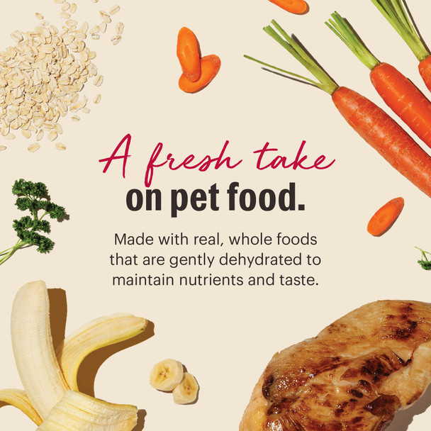 The Honest Kitchen Wholemade Whole Grain Chicken Recipe Human Grade Dehydrated Dog Food Just Add Water Supports Digestion Skin and Coat Topper For Dry Or Wet Dog Food 10 Lb Box Makes 40 Lbs