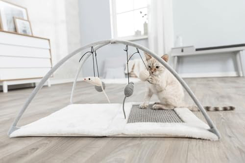 Trixie Junior Cat Activity Center Interactive Cat Toys Scratching Pad Foldable And Easy To Store
