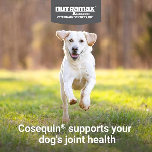 Nutramax Laboratories Cosequin For Dogs Joint Health Supplement Contains Glucosamine Plus Chondroitin Msm And Omega3S Supports Joint And Skin And Coat Health Soft Chews 120 Count