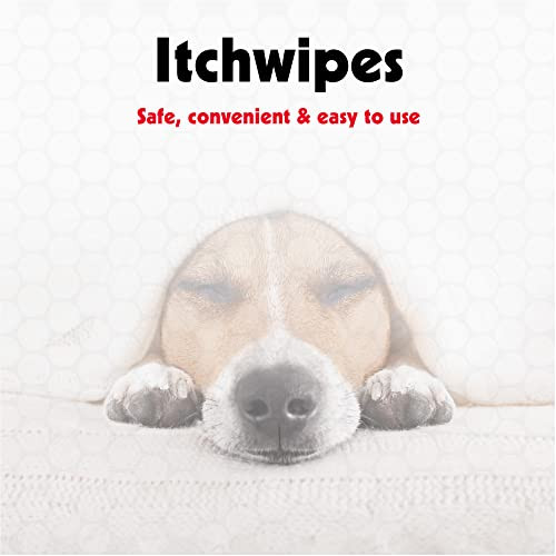 Petkin Anti Itch Wipes For Dogs And Cats Soothes Hot Spots Skin Irritations And Scratching Bitter Taste Stops Licking And Chewing Super Convenient Ideal For Home Or Travel 30 Wipes