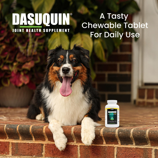 Nutramax Laboratories Dasuquin For Small To Medium Dogs Joint Health Supplement Contains Glucosamine For Dogs Plus Chondroitin Asu Msm And More Supports Healthy Joints Chewable Tablets 150 Count