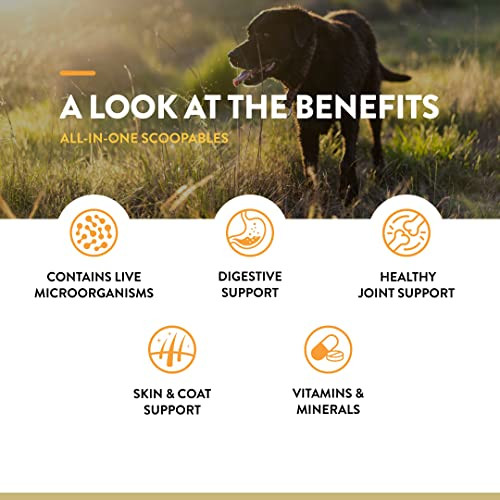 Naturvet Scoopables AllInOne Multivitamin For Dogs Dog Vitamins And Supplements For Joint Support Digestion Skin and Coat Care and Immune Hickory Smoked Bacon Flavor Vitamin Supplement 11Oz Bag