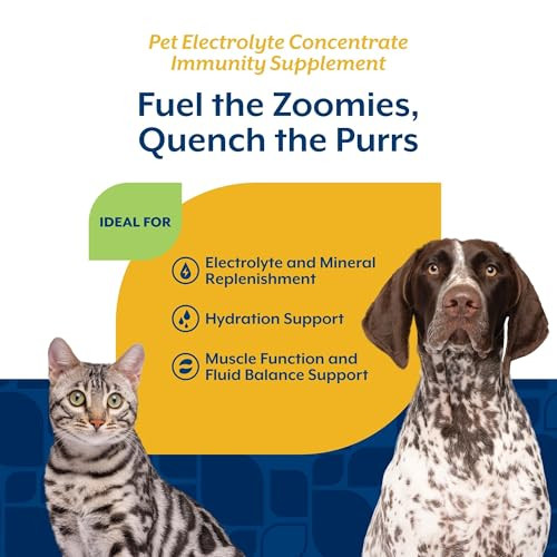 Naturvet Pet Electrolyte Concentrate For Dogs And Cats 16 Oz Liquid Concentrate Made In The Usa With Globally Source Ingredients