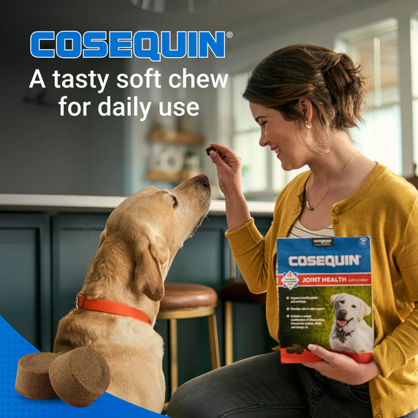 Nutramax Laboratories Cosequin For Dogs Joint Health Supplement Contains Glucosamine For Dogs Chondroitin Msm And Omega3S Supports Joint And Skin And Coat Health Soft Chews 60 Count