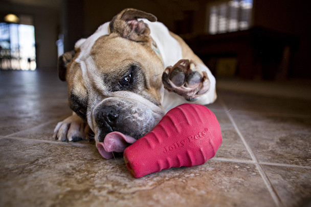 Jolly Pets Tuff Range Tuff Toppler Rocking Treat Dispenser Dog Toy 5 Inches Red