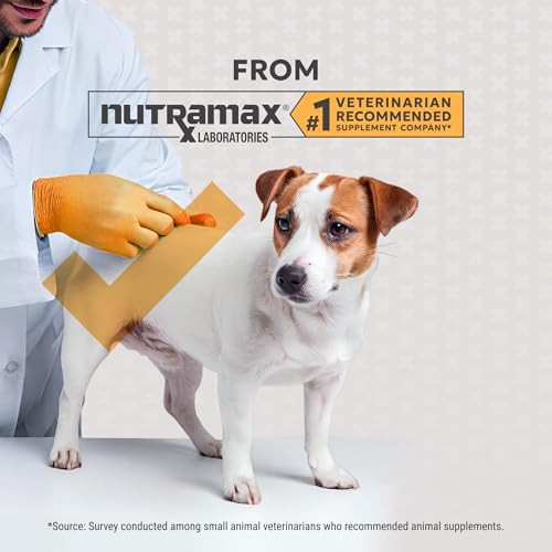 Nutramax Laboratories Filaquin Anal Gland Supplement For Dogs From The Same Company As Cosequin and Proviable With Pre and Postbiotics And Psyllium Husk Fiber To Support Anal Gland Health 90 Count Soft Chews