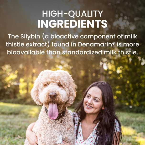 Nutramax Laboratories Denamarin For Large Dogs Liver Health Supplement With SAdenosylmethionine Same Plus Silybin Liver Support For Dogs Coated Tablets 30 Count Pack Of 2