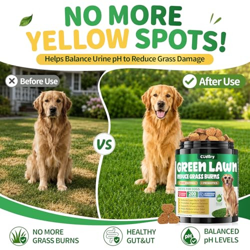 Cudory Dog Urine Neutralizer For Lawn Green Grass Chews For Dogs 200 Chew Female Pee Grass Burn Spot By Dog Urine Gut Health Probiotics and Enzymes Helps Yard Stay Green With Cranberry For Urinary Tract