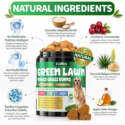 Cudory Dog Urine Neutralizer For Lawn Green Grass Chews For Dogs 200 Chew Female Pee Grass Burn Spot By Dog Urine Gut Health Probiotics and Enzymes Helps Yard Stay Green With Cranberry For Urinary Tract
