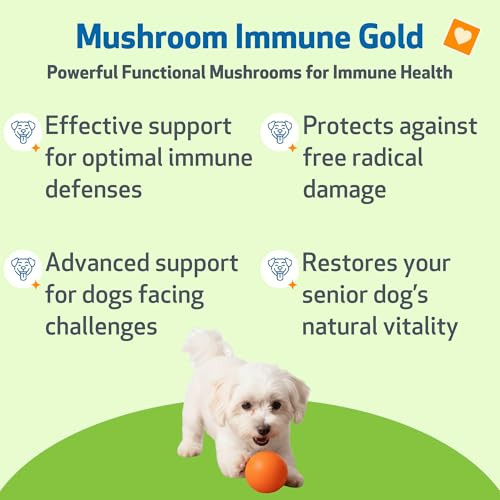 Pet Wellbeing Mushroom Immune Gold For Dogs Immune Defense 8 Oz Nasc and VetFormulated Liquid Mushroom Supplement With Reishi and Turkey Tail For Complementary Immune Support
