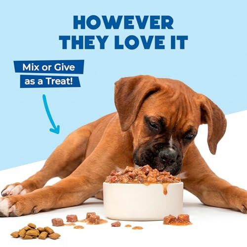 Okk Bi Probiotics For Dogs Chews 300Pcs Digestive Gut Health and Diarrhea Support Us Formula With Dog Probiotics Enzymes and Natural Ingredients Crunchy and Creamy Chicken