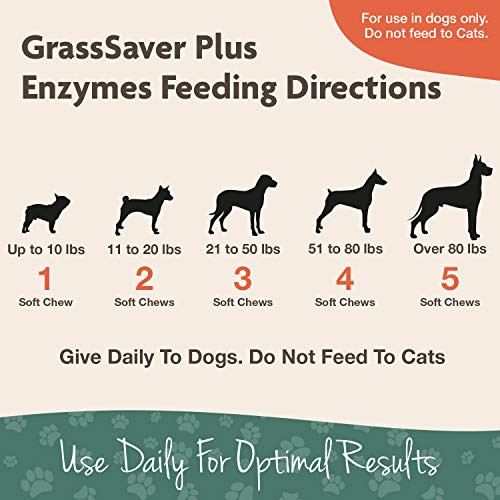 Naturvet Grasssaver 240 Ct and Yard Odor Eliminator Plus 32Oz Spray Bundle Keep Grass Green Rid Your Lawn Of Yellow Patches Caused By Dog Urine Eliminate Stool and Urine Odors From Lawn