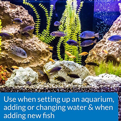 Api Quick Start Freshwater And Saltwater Aquarium Nitrifying Bacteria 1Ounce Bottle Blues and Purples