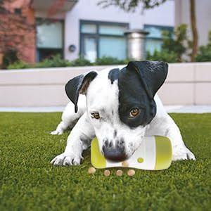 All For Paws Dog Treat Roll Interactive Dog Treat Dispenser Durable Dog Chew Toy Balland Tooth Cleaning Toy