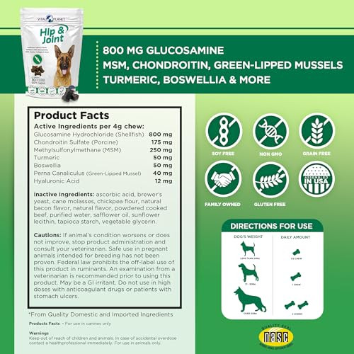 Vital Planet Hip And Joint Soft Chews For Dogs With Glucosamine Msm And Collagen From GreenLipped Mussel 30 Bacon Flavored Soft Chews