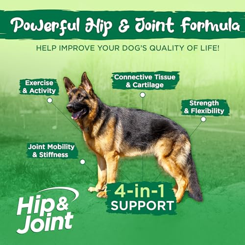Vital Planet Hip And Joint Soft Chews For Dogs With Glucosamine Msm And Collagen From GreenLipped Mussel 30 Bacon Flavored Soft Chews