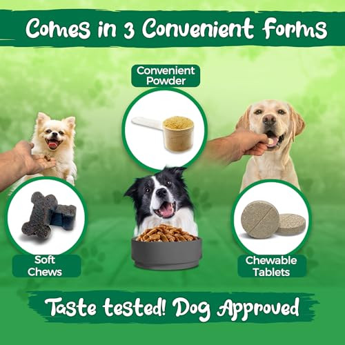 Vital Planet Hip And Joint Soft Chews For Dogs With Glucosamine Msm And Collagen From GreenLipped Mussel 30 Bacon Flavored Soft Chews