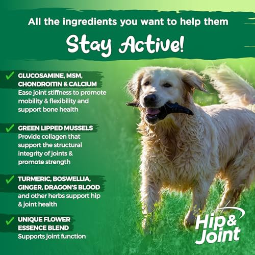 Vital Planet Natural Hip And Joint Supplement For Dogs Potent Herbal Blend With Green Lipped Mussel Msm And Glucosamine 120 Chewable Tabs
